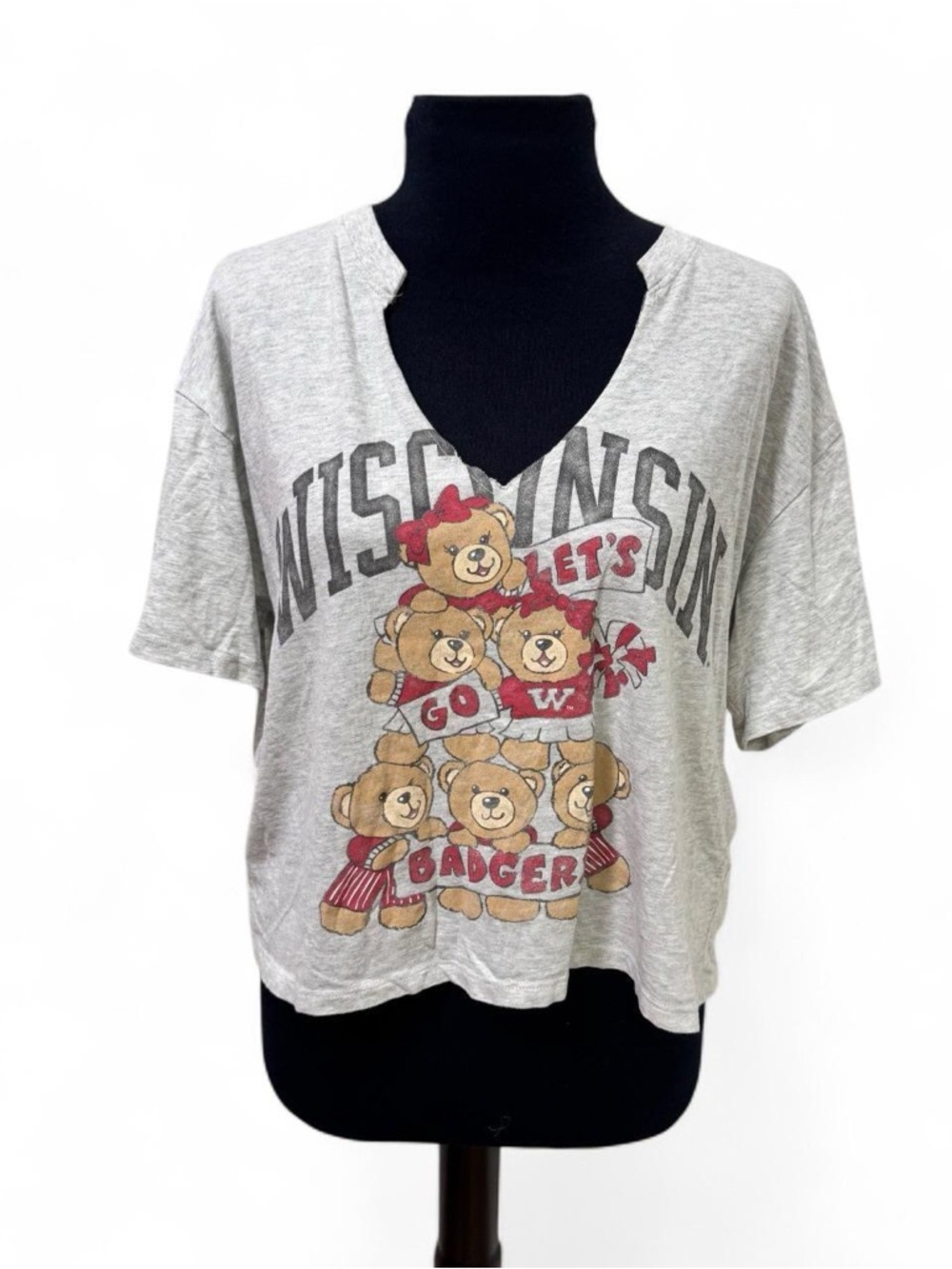 Hollister Wisconsin Badgers Graphic Crop Tee - Gray